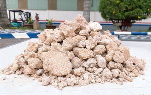 Pulpe de manioc séchée du Vietnam, matière première idéale pour la production d'aliments pour animaux, quantité en vrac disponible - Product Image 6