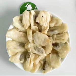Le meilleur fruit de corossol séché au goût sucré 100% naturel du Vietnam délicieusement aigre et le meilleur produit à essayer! Emballé en vrac - Product Image 1