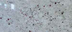 Losa grande de granito pulido blanco de diseño colonial moderno de silo para USO HOTELERO con capacidad de solución de proyectos - Product Image 6