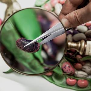 Pinzas de Acero Inoxidable de Grado Industrial y para Bricolaje de 4-1/4 Pulgadas con Punta de Diamante y Superficie Dentada - Product Image 1