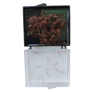 Extensiones de Pestañas de Pelo Sintético de Alta Calidad Nhu Y NY6D 6D, Volumen 6D, Longitud de 8-15 mm, Hechas a Mano, Fácil Aplicación, Empaque a Granel - Product Image 3