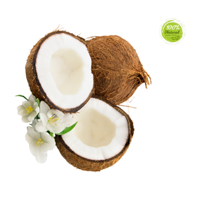 Coquille de noix de coco séchée fraîche Ingrédient clé dans les produits alternatifs sans noix - Product Image 5