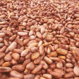 Granos de cacao del proveedor al por mayor para la venta en el precio razonable - Product Image 2