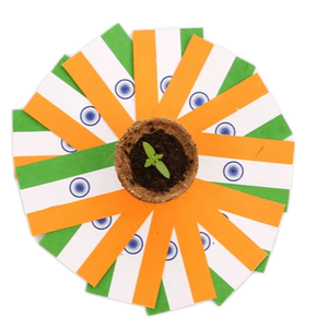 Banderas Plantables Banderas Ecológicas Sostenibles Día DE LA Independencia - Product Image 1