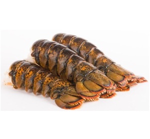 Langostas Congeladas a Granel de California para Hoteles, Restaurantes y Mercados de Mariscos, Mariscos de Primera Calidad - Product Image 2