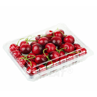 Top Groothandel Biologisch Afbreekbare Suikerrietpla Verpakking Wegwerp Voedselopslagcontainer Fruit Clamshell Boxes Plastic Bakje