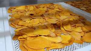 500gr bolsa con cremallera 99 Gold Data Mango seco Proveedores vietnamitas Fabricantes Frutas secas en rodajas - Product Image 2