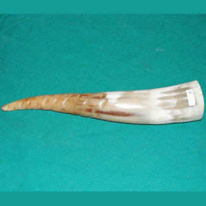 Corne de signalisation viking, corne énorme polie, style corne de signalisation pour la chasse, instrument de musique décoratif, corne à souffler scandinave - Product Image 5