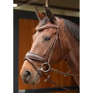 Briglia equestre morbida ed elegante da con un ampio pull-on noseband e bellissimi cristalli sul sopracciglio.