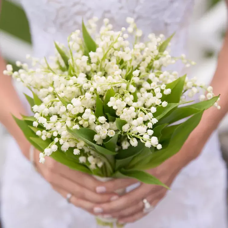 Mono-Bloom Boeketten Kunstbloemen Bruiloft En Evenementen Decoratie Voor Verschillende Gelegenheden Bloemboeketten Voor Meerdere Doeleinden