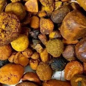 Cálculos Biliares de Buey Secos de Calidad / Cálculos Biliares de Ganado - Product Image 6