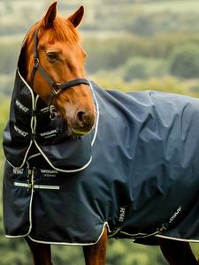 Couverture d'hiver imperméable pour cheval en polycoton magnétique de haute qualité, prix de gros, sur mesure - Product Image 2