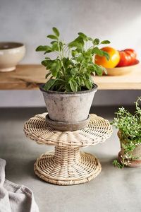 ชั้นวางกระถางต้นไม้ทำจากหวายและเหล็กสำหรับใช้ในบ้านในร่มและกลางแจ้ง - Product Image 6