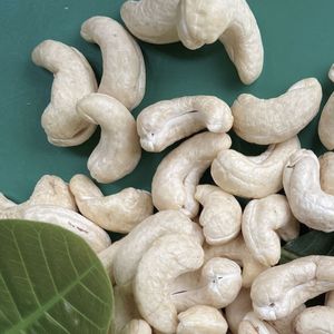 ผลิตเม็ดมะม่วงหิมพานต์จากเวียดนามซานติโก W320มีคุณภาพดีส่งออกไปยังสหภาพยุโรปตะวันออกกลาง - Product Image 1