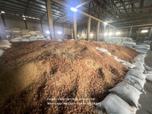 Goma arábiga de Acacia natural de la mejor calidad, aditivo multiusos de molienda de grado alimenticio para la industria de bebidas y alimentos - Product Image 2