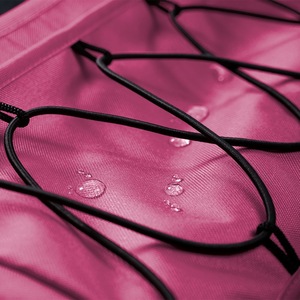 Remorque pour animaux de compagnie pour les aventures en plein air - Product Image 5