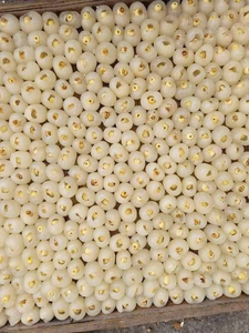 High quality Freeze Dried Fruit Snack Perfect for Smoothies Dried longan pulp Stuffed with lotus seeds manufacturer ANGLE - Product Image 6