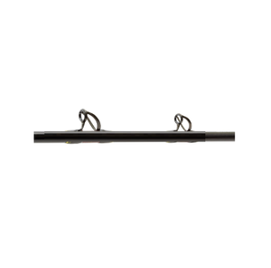 Nouvelle canne à pêche électrique Seaborg 60XHFD en acier inoxydable pour rivière, lac, ruisseau, pêche à la main droite, résistante à la corrosion - Product Image 2