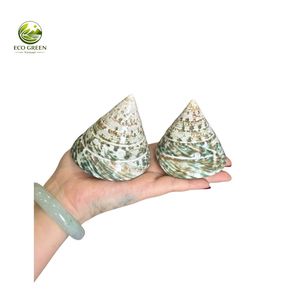 Coquillages de Trochus Conus polies de haute qualité, coquilles naturelles en nacre, toucher réel, rondes, pour mariage à la plage, décoration intérieure - Product Image 4
