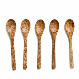 Cuillère à café durable ustensiles de bar cuillères à noix de coco pour déguster et servir des boissons - Product Image 1