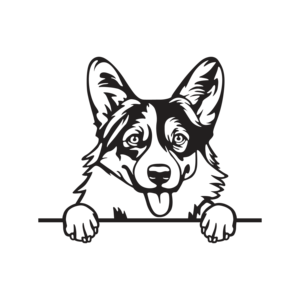 Cuadro Decorativo de una Raza de Perro en MDF - Product Image 1