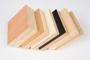 Venta caliente Ply Wood Factory Direct - Product Image 3