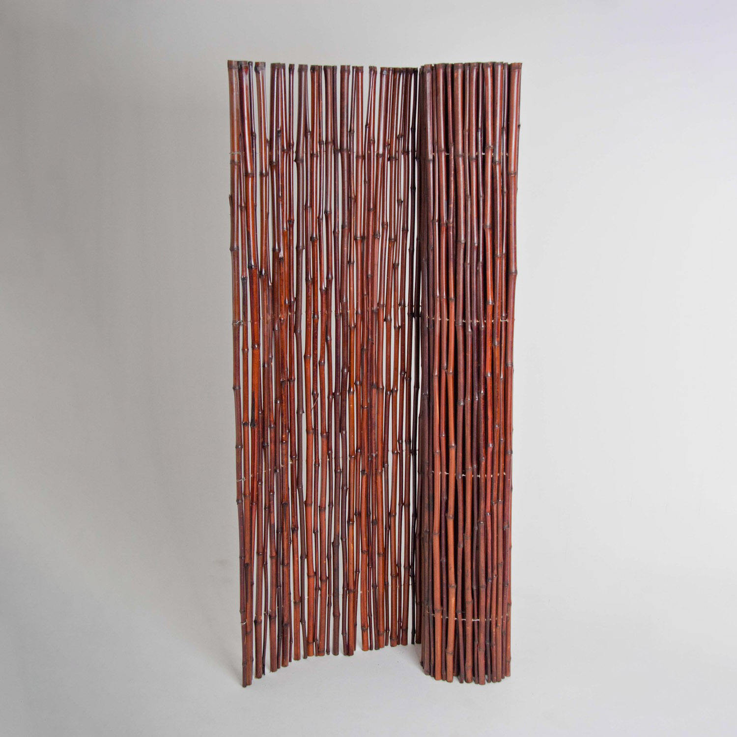 ธรรมชาติ