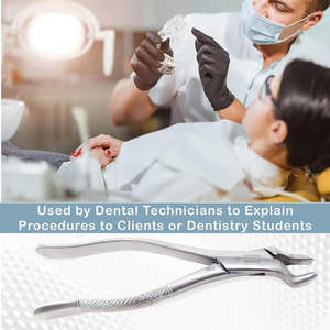 Fórceps Eléctrico de Acero Inoxidable Premium para Extracción Dental Pediátrica, 7 Pulgadas, Agarre Ergonómico, Cirugía, Eléctrico Derecho - Product Image 3