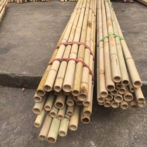 Poteaux/cannes/piquets en bambou traité séché pour le support de plantes de jardin brut en bambou de View Nam - Product Image 2