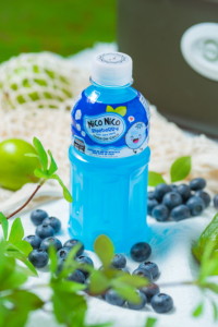 Bebida de Nata de Coco de Alta Calidad de la Marca Nico Nico con Jugo de Arándanos NFC en Botella PET de 320 ml, Muestra Gratis, HALAL, MOQ Bajo - Product Image 5