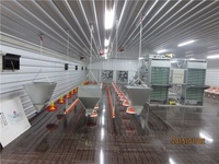 Estructura de Acero Prefabricada Ligera Profesional para Granjas Avícolas, Estructura Espacial con Servicios de Soldadura y Doblado, Estándar ASTM
