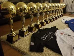 Stainless Steel Sports <b>Trophy</b> <b>Cup</b> Customized Achievement Award Display Durable Premium Quality - Product Image 4