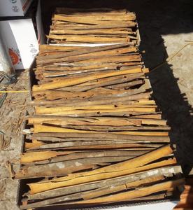 High Quality Fresh New Crop Split Cassia Cinnamon From Vietnam Dried Raw Processing <b>Single</b> <b>Spices</b> & <b>Herbs</b> - Product Image 3