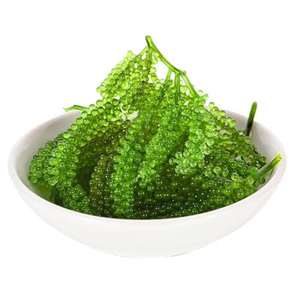 RAISINS DE MER FORTE DEMANDE/PRODUIT SÉCHÉ AU CAVIAR VERT DU VIETNAM - Product Image 5