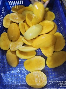 Congeler les fruits de mangue congelés-Meilleur fournisseur au Vietnam fournit des fruits de mangue jaune congelés de 99 GD 2024 - Product Image 4