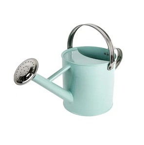 New Design Galvanized <b>silver</b> Metal Watering Can Premium Design Galvanized Steel Plant Watering Can with Stainless Steel - Product Image 6