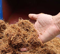 Fibre de noix de coco brute | Fibre de coco naturelle pour l'agriculture, l'horticulture, les matelas, les cordes et l'artisanat