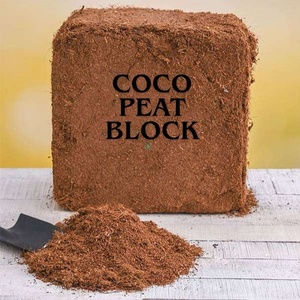 ACCENT Eco-Friendly Coco <b>Peat</b> 5kg Blocks (Natural Brown 30x30x14cm) for Garden & Agriculture in India - Product Image 5