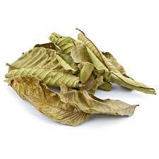 Fournisseur en gros de feuilles de goyave séchées, prix de vente direct d'usine - Product Image 2