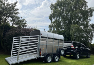 Nouvelle remorque à bétail Nugent 8x5 |   Remorque pour moutons, chevaux et autres animaux d'élevage à vendre, bon marché et en excellent état - Product Image 4