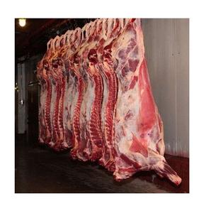 Carcasse de bœuf halal congelée / Pieds de bœuf congelés / Tête de bœuf congelée - Product Image 4