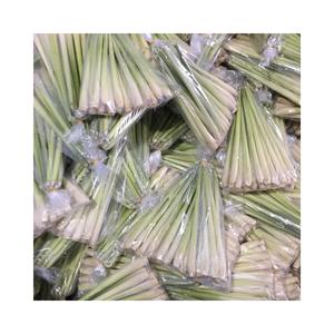 Lemongrass congelado en Vietnam paquete a granel de buen aroma de alta calidad - Product Image 1