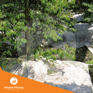 Película de mantillo agrícola para la supresión de malezas de la base del árbol Durian evita la competencia por los nutrientes en forma de rollo - Product Image 3