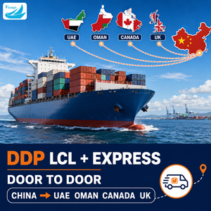 Agente <span class=keywords><strong>de</strong></span> Transporte Marítimo DDP, Envío Exprés LCL, Puerta a Puerta desde China a Emiratos Árabes <span class=keywords><strong>Unidos</strong></span>, Omán, Canadá, Reino Unido - Product Image 1