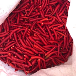 Piment rouge sans tige frais et surgelé du Vietnam, nouvelle récolte, poivre long cultivé en serre, procédé IQF, qualité supérieure - Product Image 1