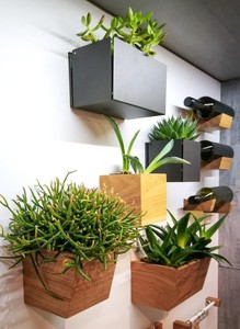 Juego de Dos Macetas de Hierro Negras en Diferentes Tamaños, Macetas Colgantes de Pared de Alta Calidad, Perfectas para Uso en Interiores y Exteriores - Product Image 6