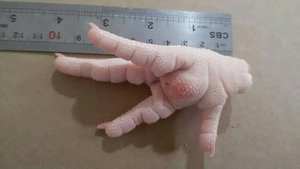 ขาไก่แช่แข็งฮาลาล IQF คุณภาพพรีเมียมสำหรับขาย (แบบเป็นตัว) - Product Image 3