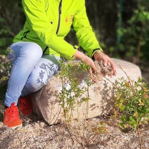 Granulés de bois en vrac Fabricants/Granulés de bois de qualité EN plus A1/ en plus a1 6mm-8mm à vendre Granulés de bois de biomasse - Product Image 1