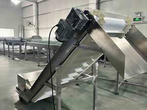Transportador Inclinado Tipo Z, Transportador de PU de Grado Alimenticio con Tolva para Transportar Cereales a Granel y Productos Alimenticios - Product Image 2
