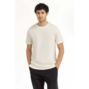 เสื้อยืดโอเวอร์ไซส์ผู้ชายทรงปกติ ผ้าฝ้าย 100% รุ่น MN-TS-SS25-309 พร้อมป้ายกำกับแบบกำหนดเอง ผ้าเจอร์ซีย์ 300gsm ลายเรียบและโลโก้ - Product Image 5